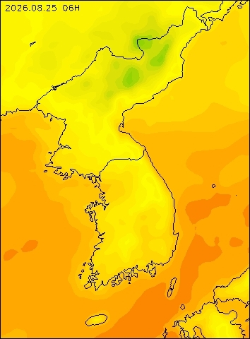 2026-08-25 06 : 00