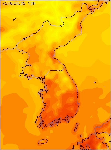 2026-08-25 12 : 00