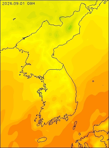 2026-09-01 09 : 00