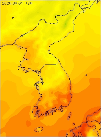 2026-09-01 12 : 00