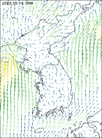 2025-05-19 05 : 00