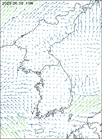 2025-06-08 11 : 00