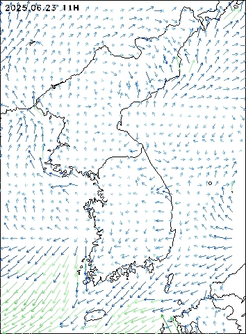 2025-06-23 11 : 00