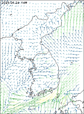 2025-06-24 14 : 00