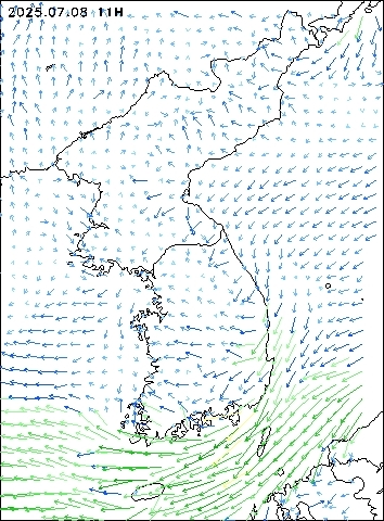 2025-07-08 11 : 00