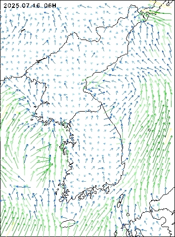 2025-07-16 06 : 00