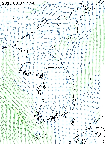 2025-08-03 13 : 00