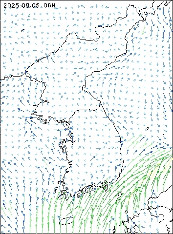 2025-08-05 06 : 00