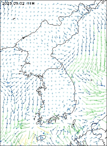 2025-09-02 11 : 00
