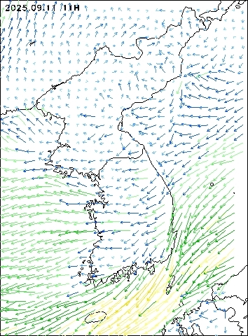 2025-09-11 11 : 00