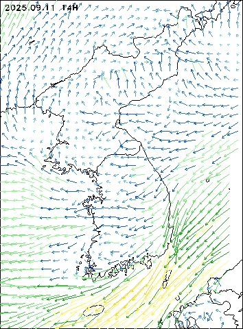2025-09-11 14 : 00