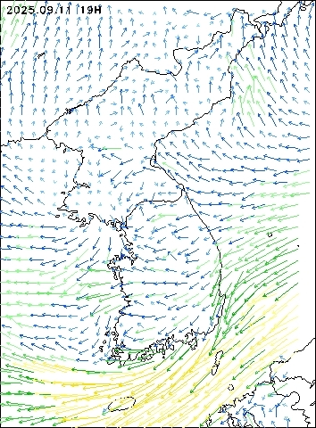 2025-09-11 19 : 00