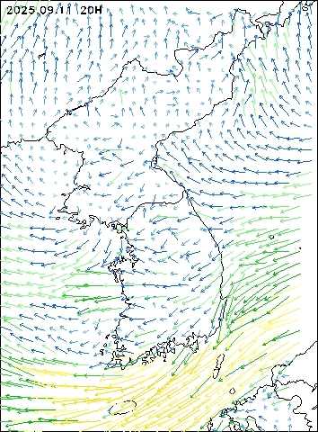 2025-09-11 20 : 00