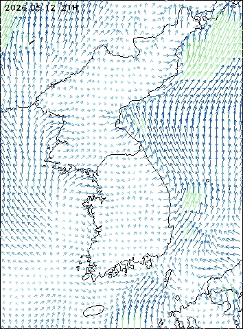 2026-05-12 21 : 00