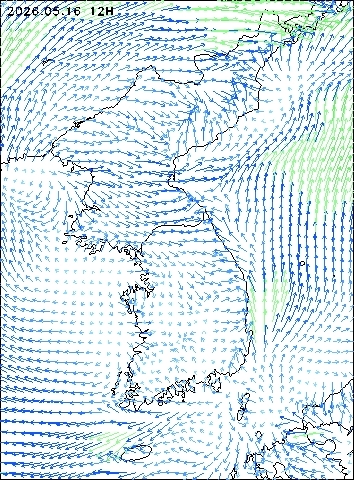2026-05-16 12 : 00