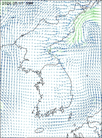 2026-05-17 09 : 00