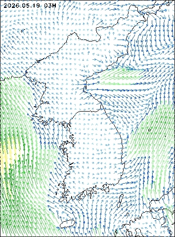 2026-05-19 03 : 00