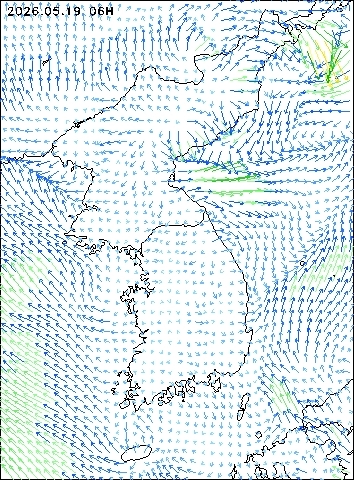 2026-05-19 06 : 00