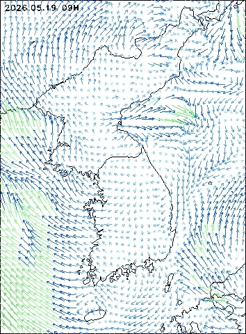 2026-05-19 09 : 00