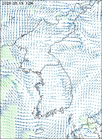 2026-05-19 12 : 00