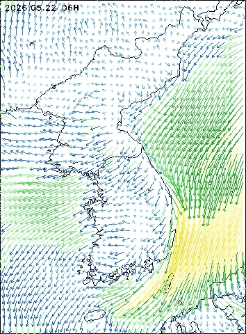 2026-05-22 06 : 00
