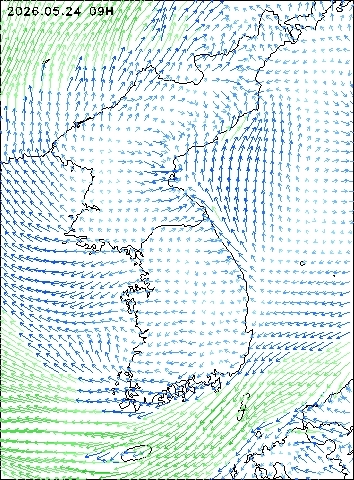 2026-05-24 09 : 00