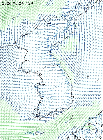 2026-05-24 12 : 00