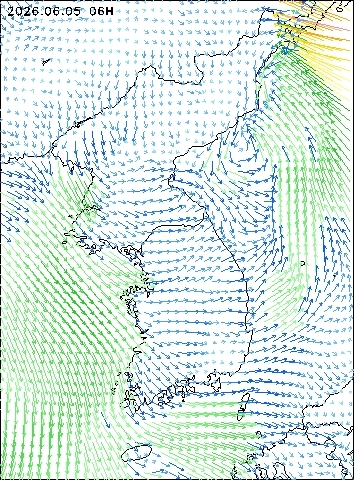 2026-06-05 06 : 00