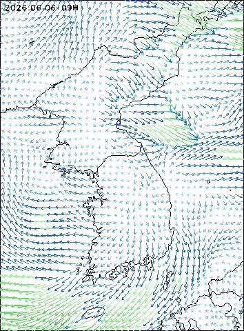 2026-06-06 09 : 00