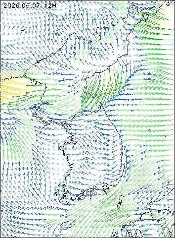 2026-06-07 12 : 00