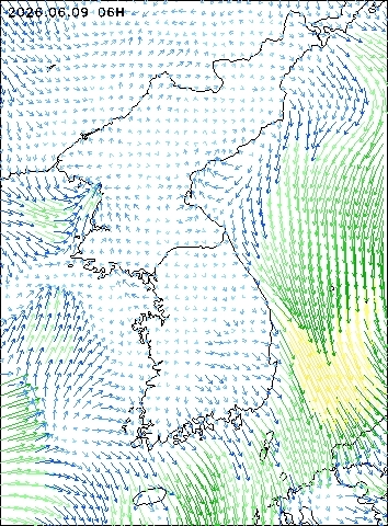 2026-06-09 06 : 00