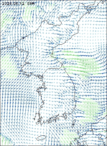 2026-06-12 09 : 00