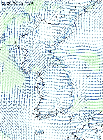 2026-06-12 12 : 00