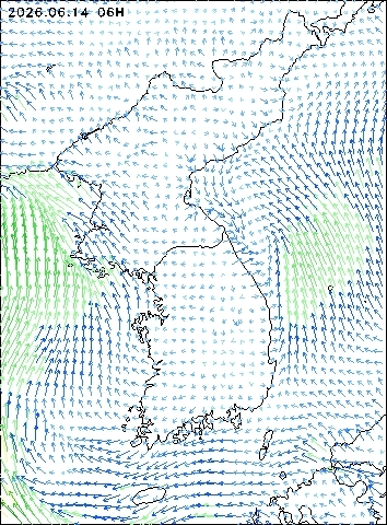 2026-06-14 06 : 00