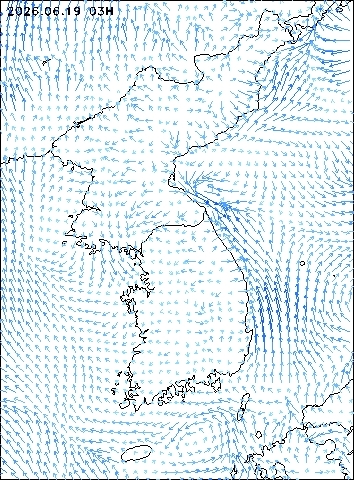 2026-06-19 03 : 00