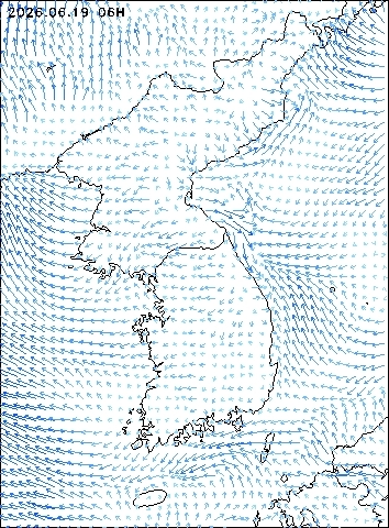 2026-06-19 06 : 00