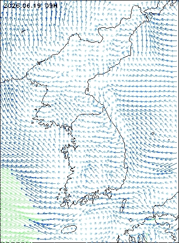 2026-06-19 09 : 00