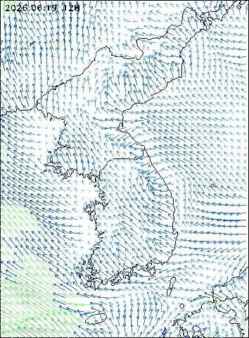 2026-06-19 12 : 00