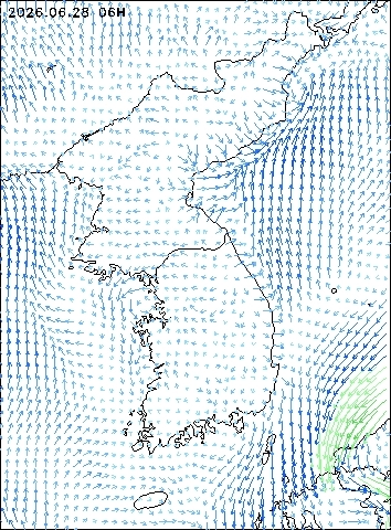 2026-06-28 06 : 00