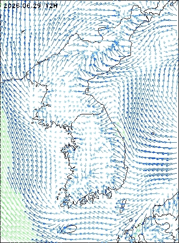 2026-06-29 12 : 00