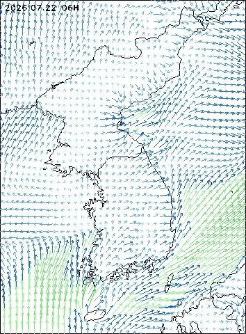 2026-07-22 06 : 00