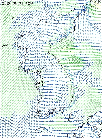 2026-08-01 12 : 00