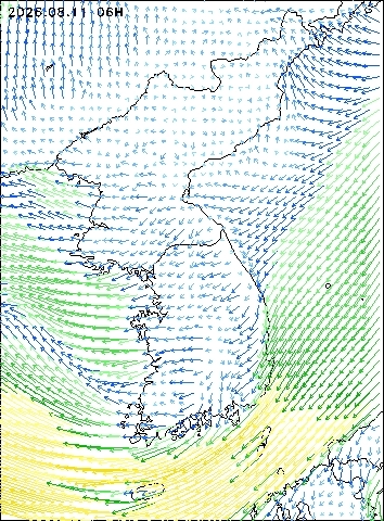 2026-08-11 06 : 00