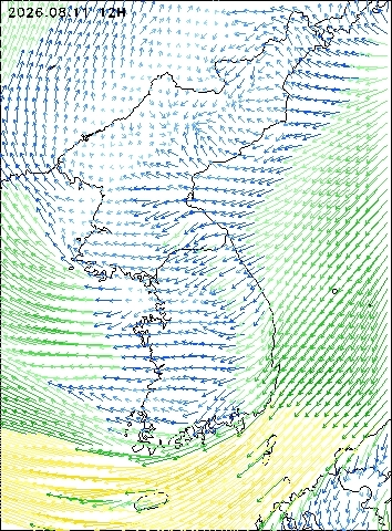 2026-08-11 12 : 00