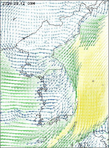 2026-08-12 09 : 00