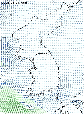 2026-08-21 06 : 00