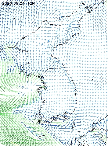 2026-08-21 12 : 00