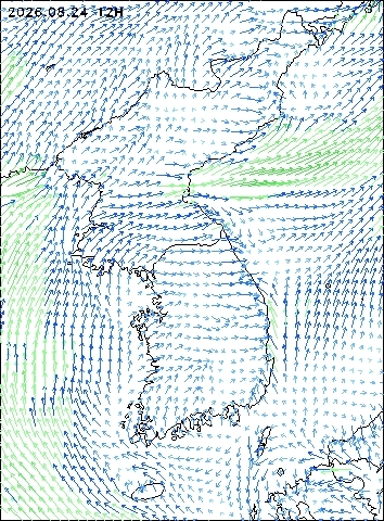 2026-08-24 12 : 00
