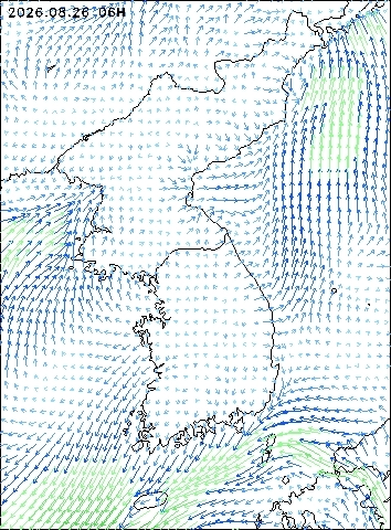 2026-08-26 06 : 00
