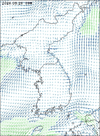 2026-08-26 09 : 00